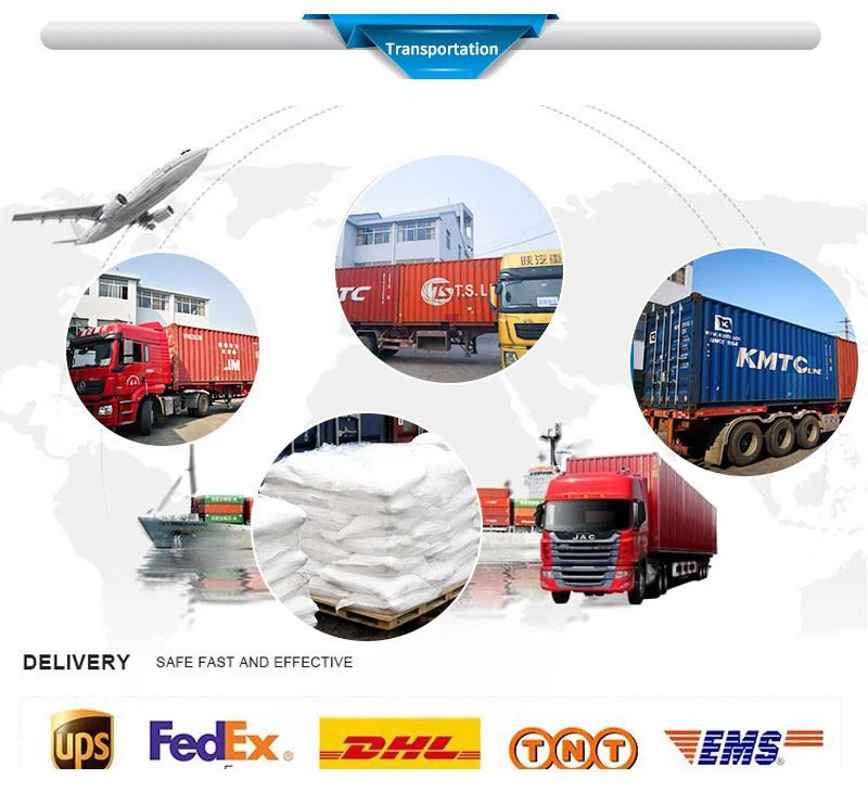 transportation